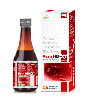  FEM-HB XT
