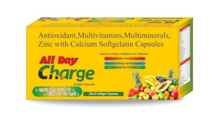  ALL DAY CHARGE