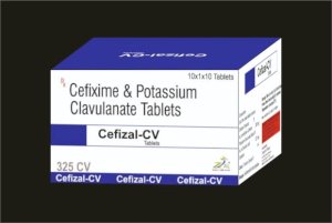  CEFIZAL-CV