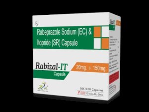  RABIZAL-IT