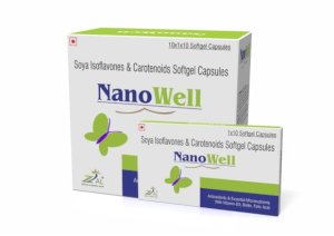  NANOWELL
