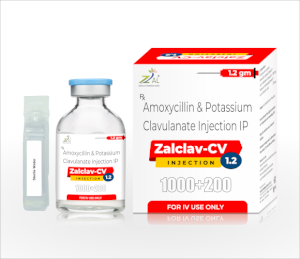  ZALCLAV-CV 1.2